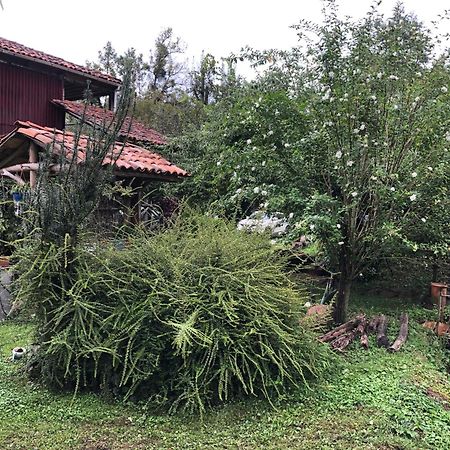 Gomis Mta Riverside Ozurget'i Exterior foto