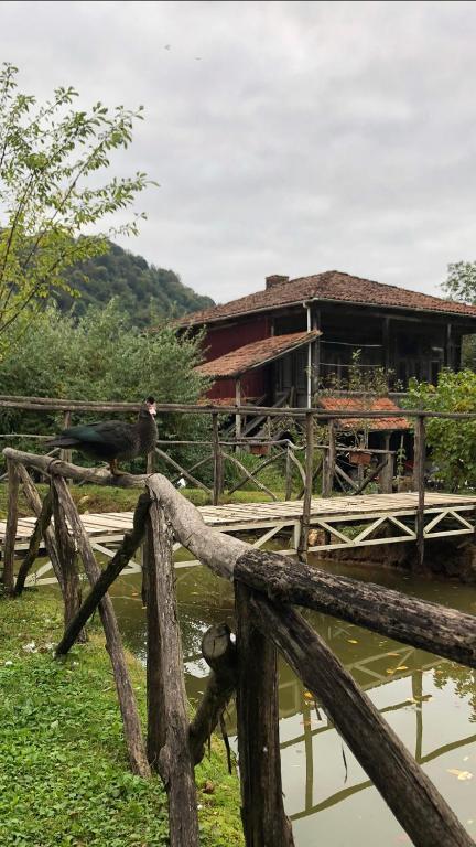 Gomis Mta Riverside Ozurget'i Exterior foto