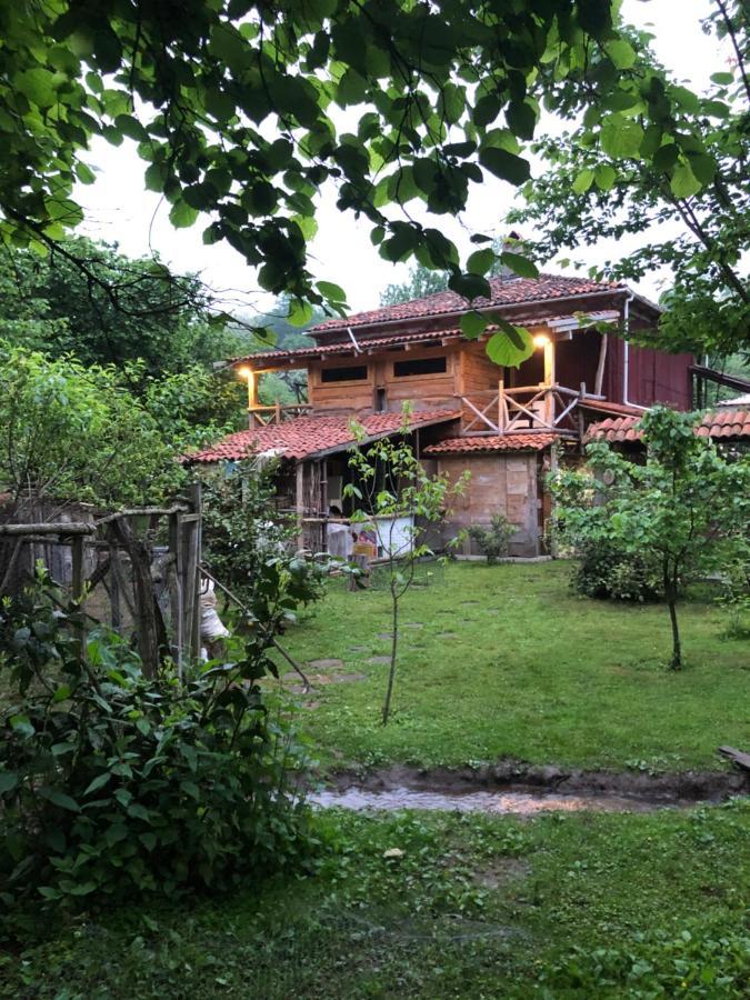 Gomis Mta Riverside Ozurget'i Exterior foto